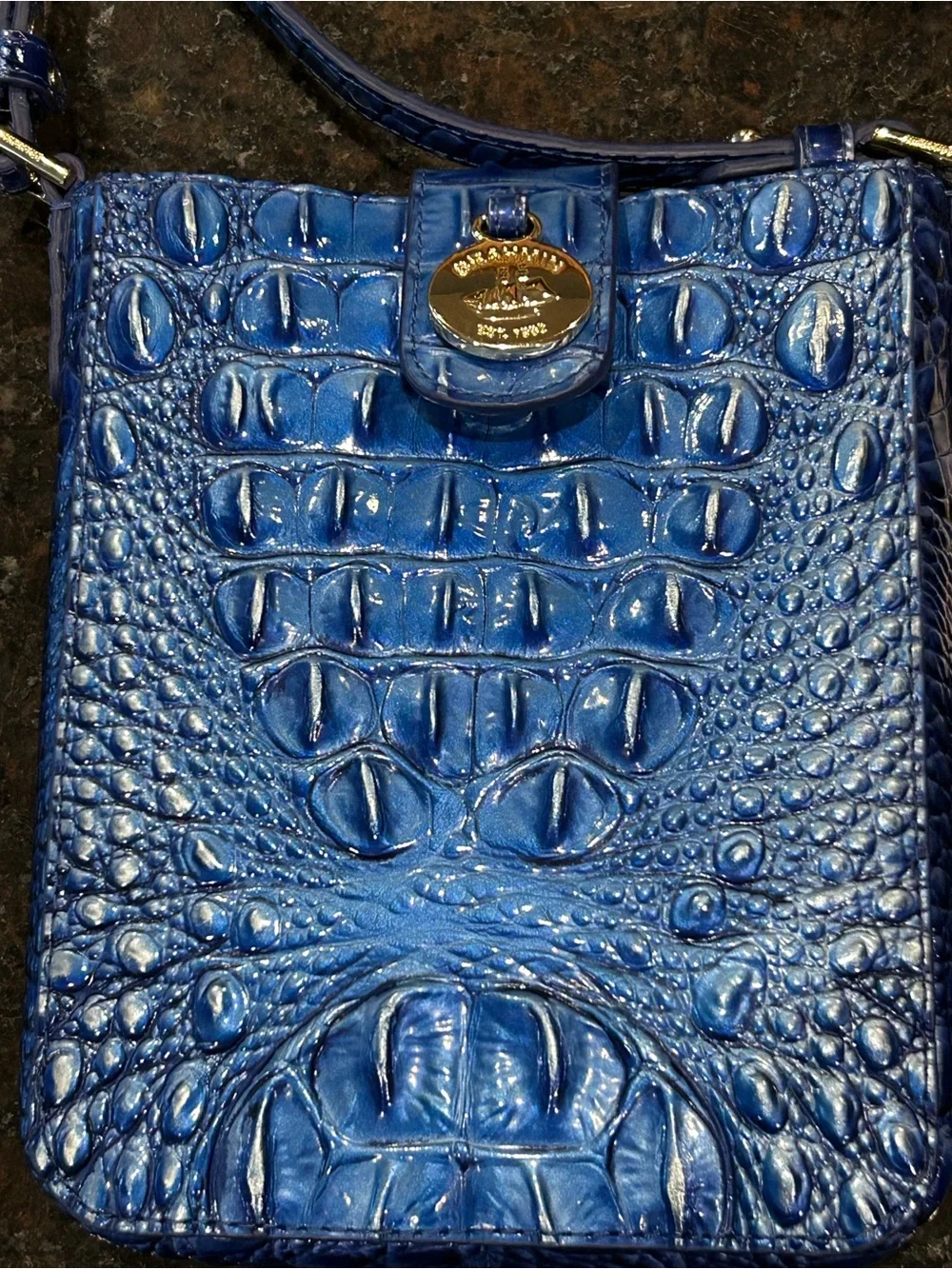 NWT Brahmin Vista Blue Ombré Melbourne Embossed Leather Crossbody Gold Hardware
